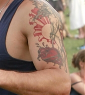 25.jpg