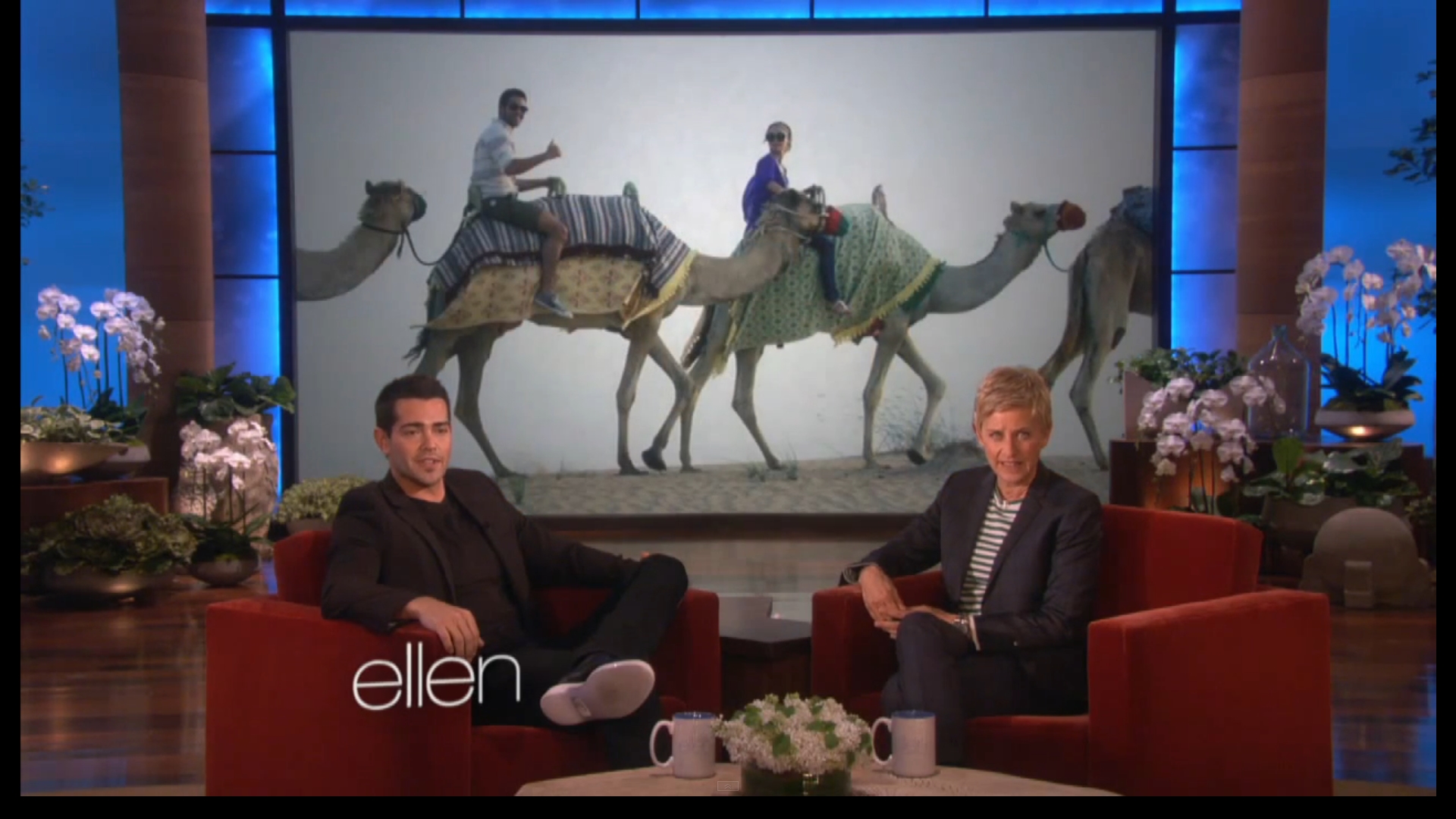 jesse-metcalfe-ellen-2014-063.jpg jesse-metcalfe-ellen-2014-063.jpg