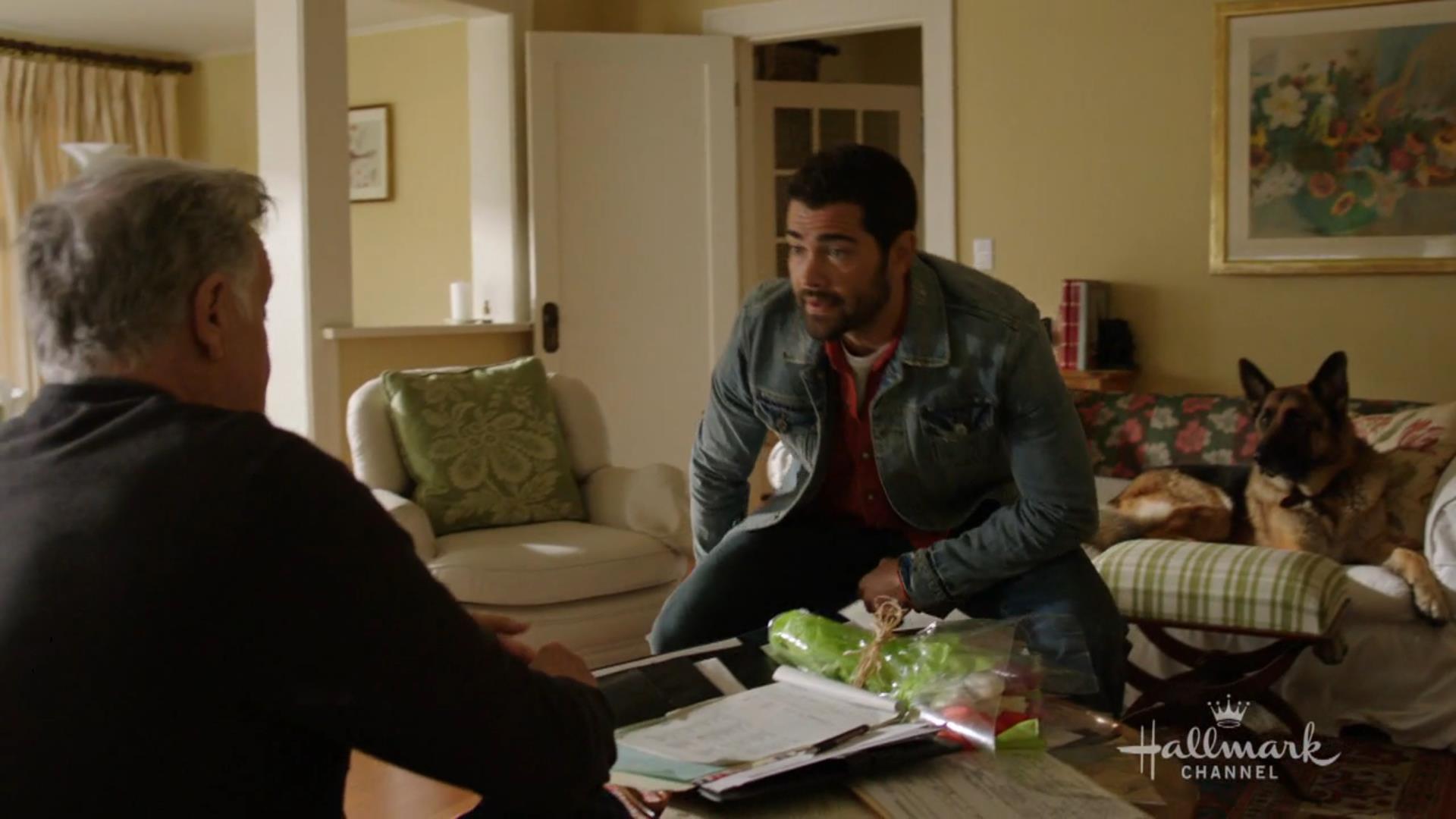 chesapeake-shores-202-175.jpeg