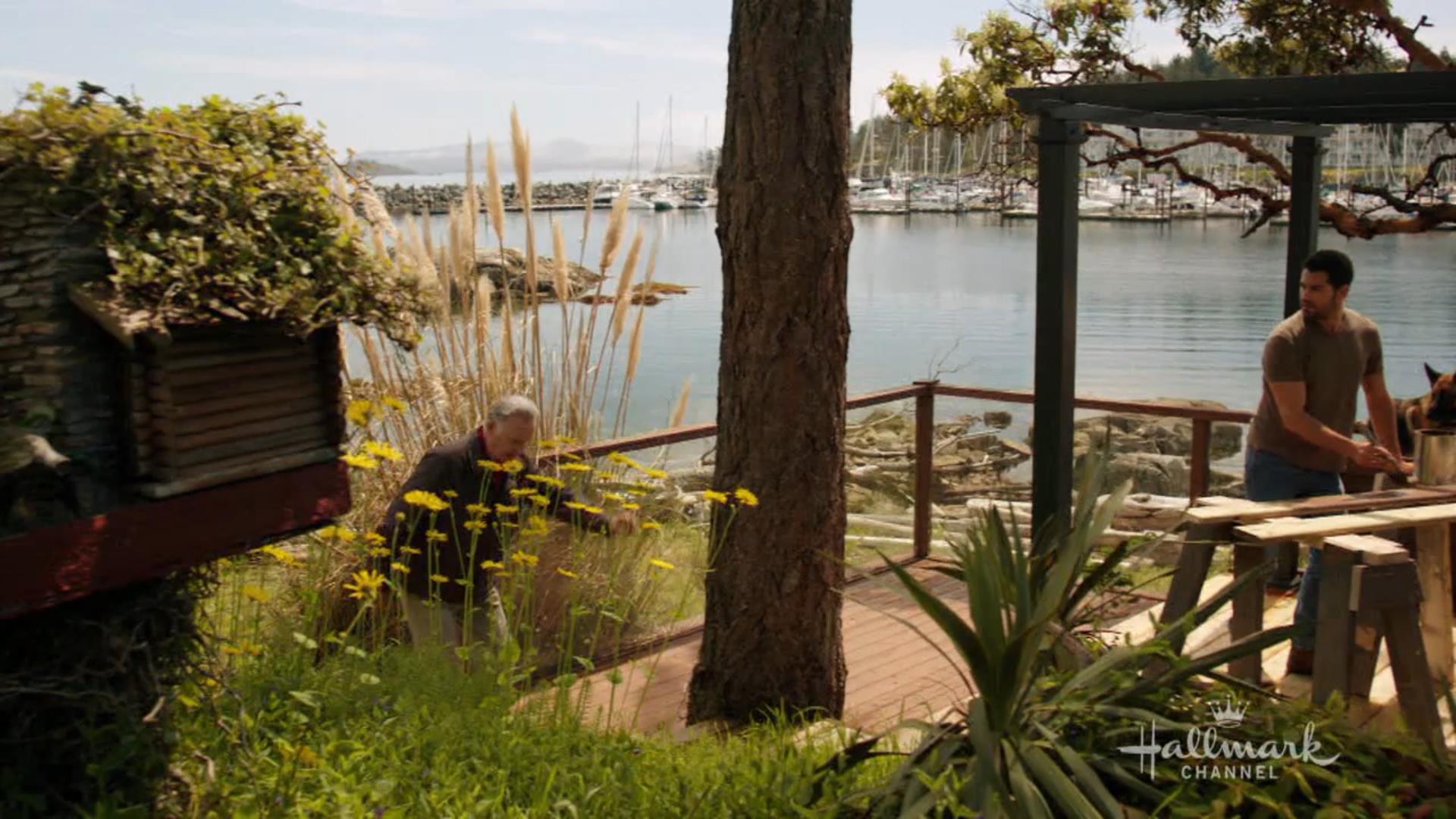 chesapeake-shores-202-302.jpeg