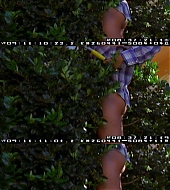 032.jpg