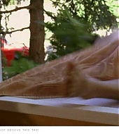jesse_dw102towel_21.jpg